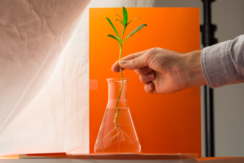 Photograph showing different stages in post production