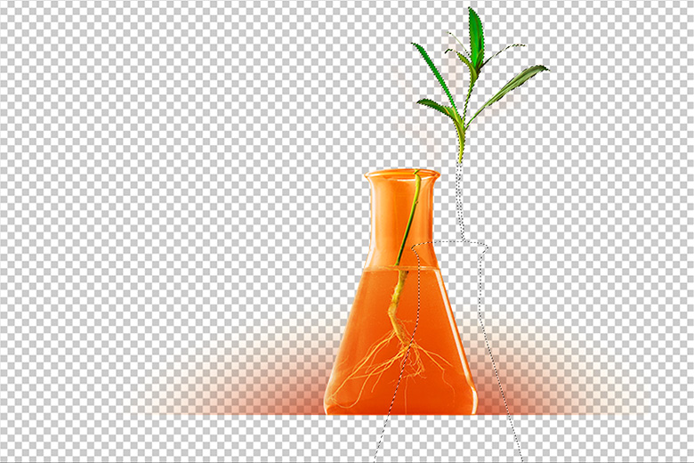 Photograph showing different stages in post production