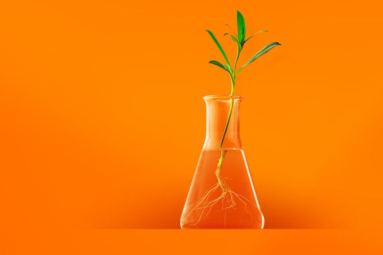 Photograph showing different stages in post production