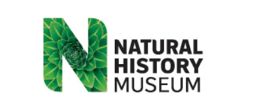 The museum is home to life and earth science specimens comprising some 70 million items within five main collections: Botany, Entomology, Mineralogy, Palaeontology and Zoology. Natural History Museum Logo