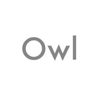 Owl financial logo