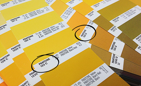 Pantone Colour Swatches
