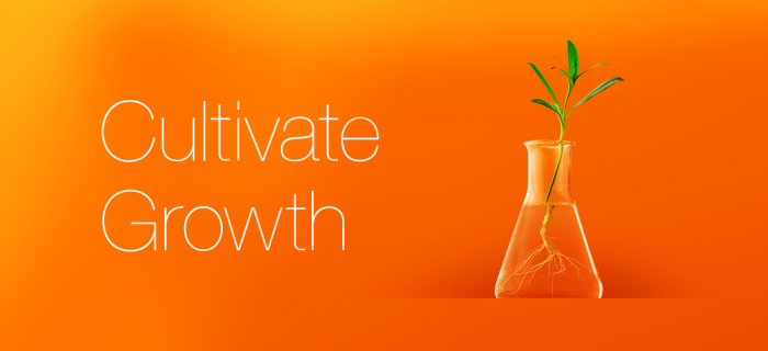 Plant in a test tube to represent growth through marketing.