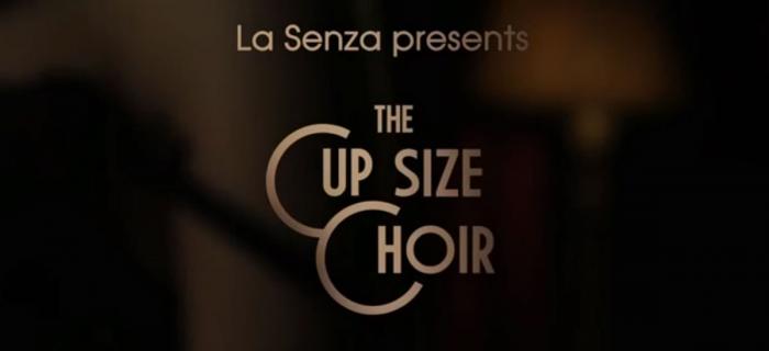 La Senza Cup Size Choir